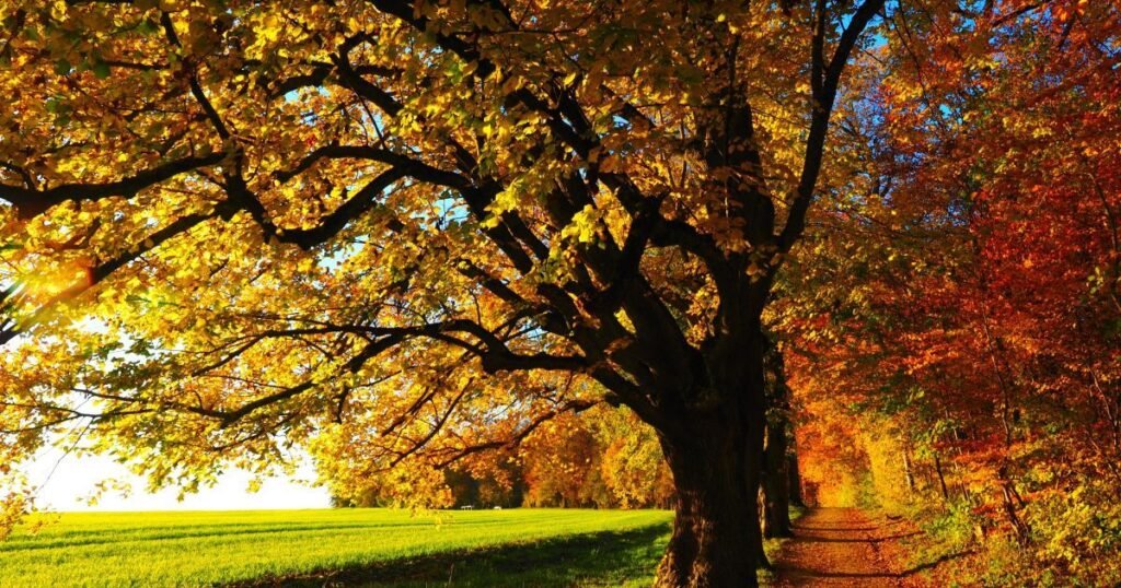 осіннє рівнодення