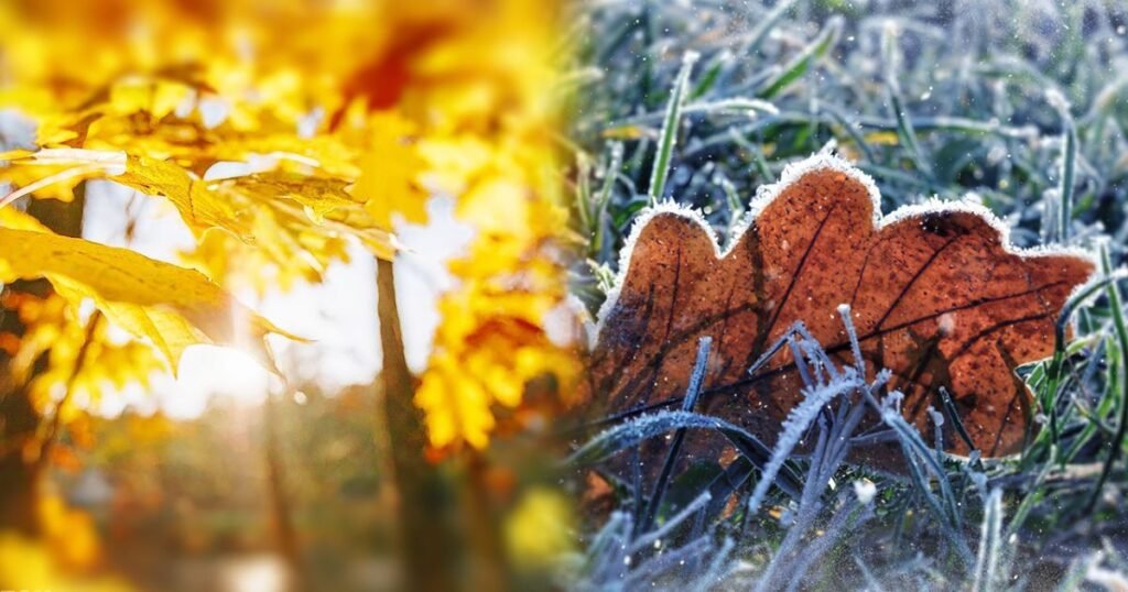 тернопіль погода